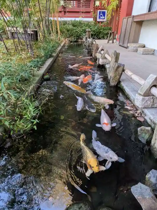 秩父神社(埼玉県)