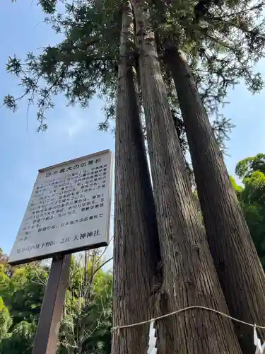 大神神社の自然