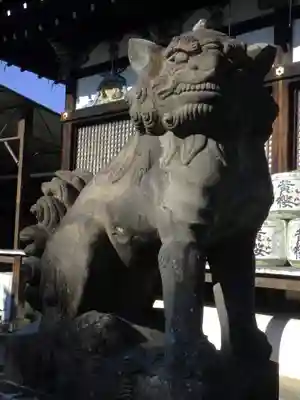 御香宮神社の狛犬