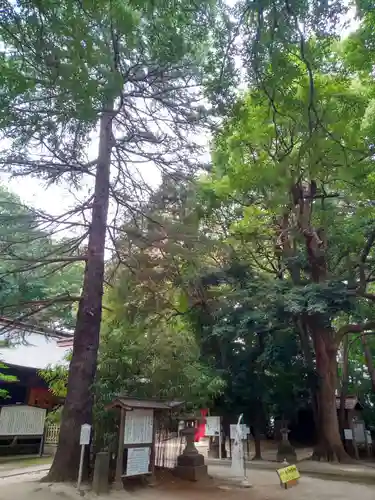 氷川女體神社のその他建物