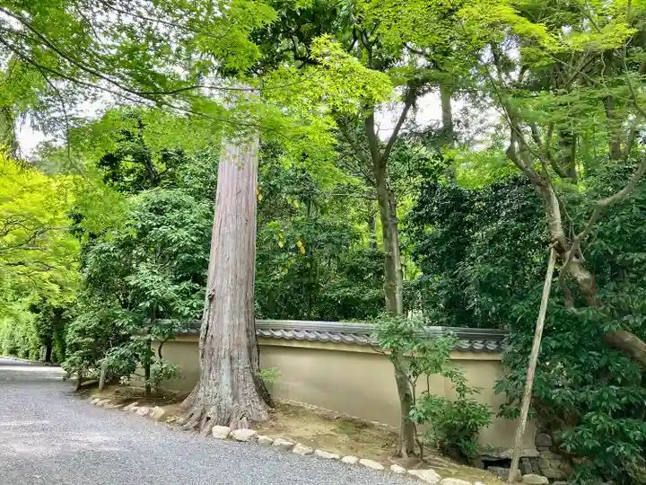 龍安寺(京都府)