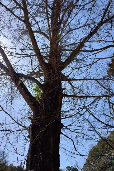 渡通津教会(愛知県)