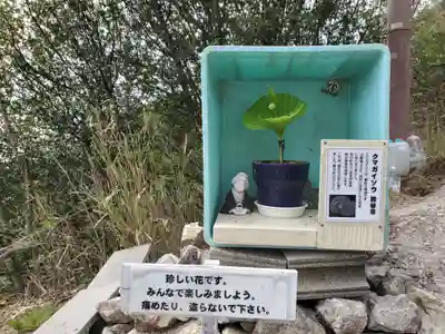 高御位神社のその他建物