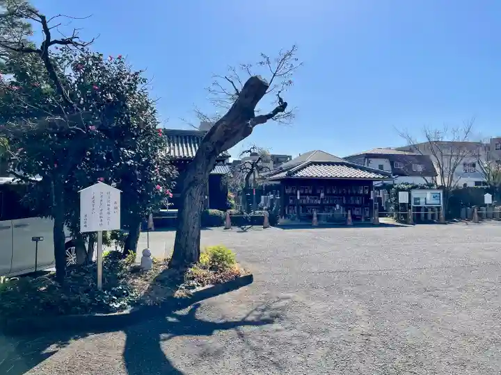 光照寺(東京都)