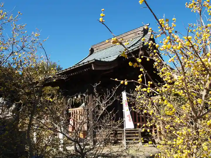 板倉雷電神社(群馬県)