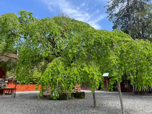富士山本宮浅間大社のその他建物