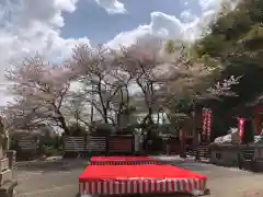 徳島眉山天神社の七五三参