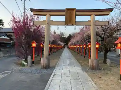 朝日森天満宮の鳥居