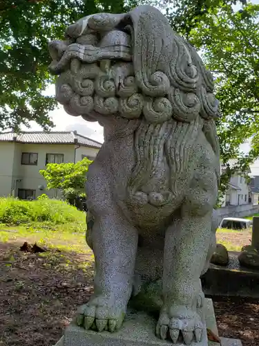 白山比咩神社の狛犬