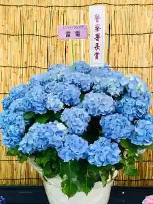 長國寺のお祭り