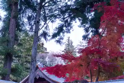 諏訪大社下社秋宮(長野県)