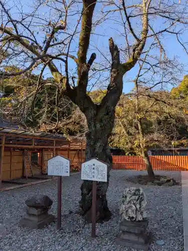 富士山本宮浅間大社(静岡県)