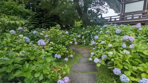  智積院(京都府)