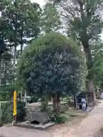 真福寺のその他建物