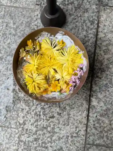彌彦神社　(伊夜日子神社)の芸術