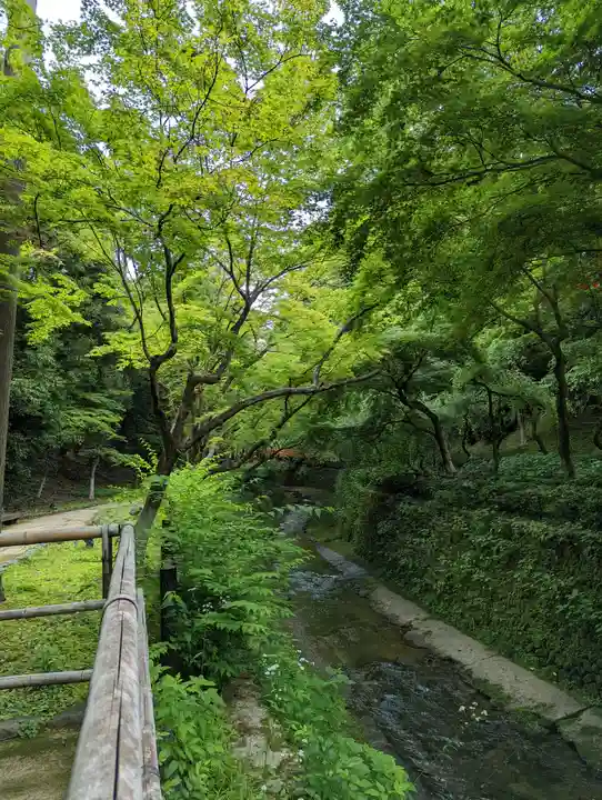 北野天満宮(京都府)