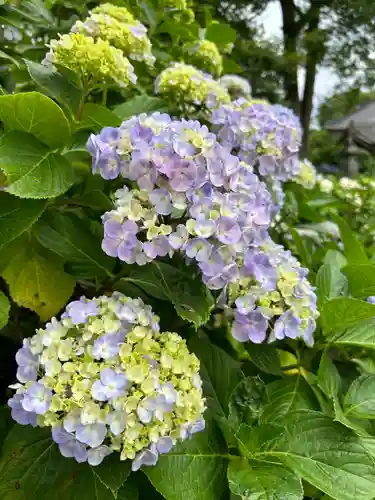 能護寺(埼玉県)