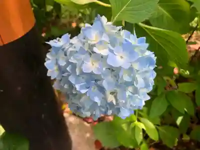 平野神社(京都府)