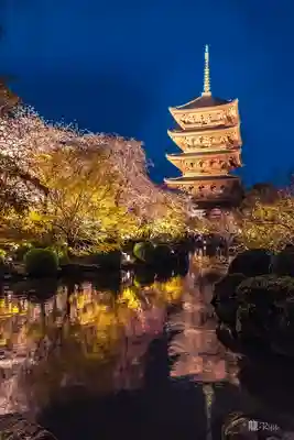 東寺（教王護国寺）(京都府)