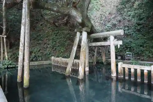 鹿島神宮(茨城県)
