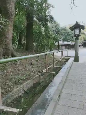 明治神宮の手水舎