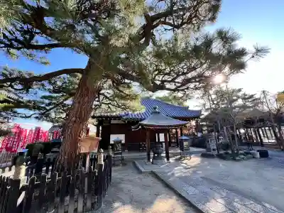 葛井寺(大阪府)
