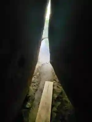 名草厳島神社(栃木県)