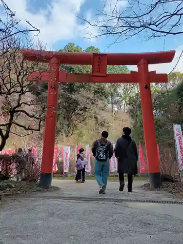 天開稲荷社の鳥居