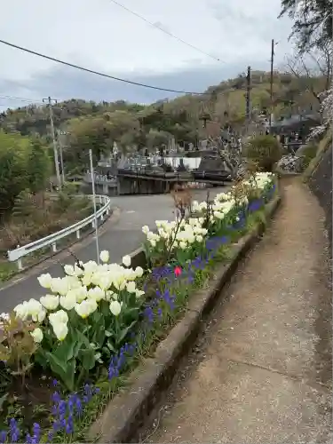 泉蔵寺(神奈川県)