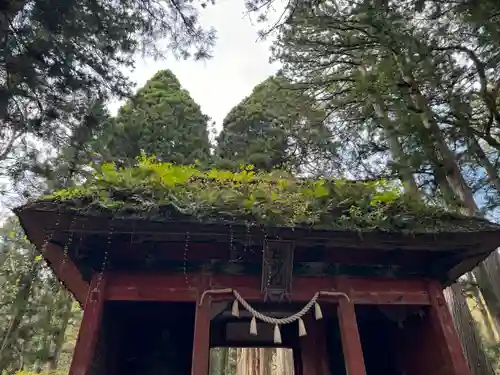 戸隠神社奥社(長野県)