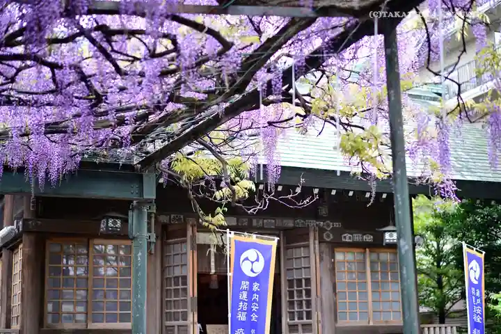 國領神社の庭園