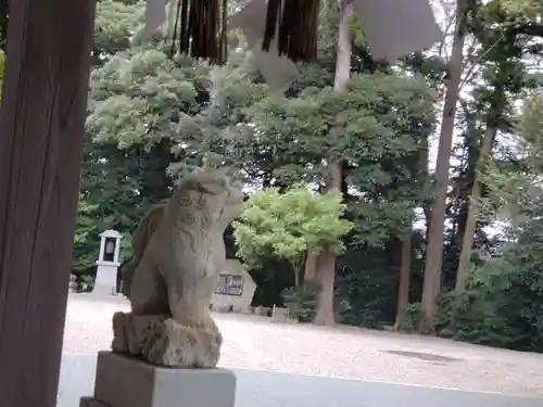 賀茂神社の狛犬