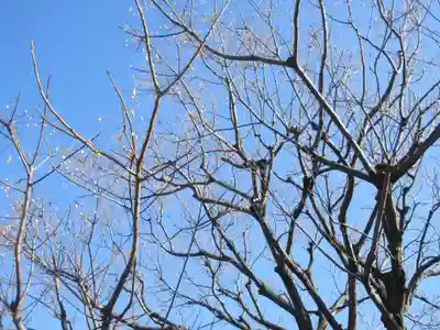 吉祥寺(東京都)