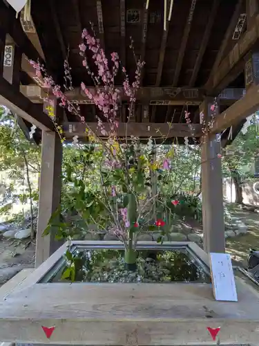 赤坂氷川神社(東京都)