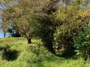 廣田大神(千葉県)