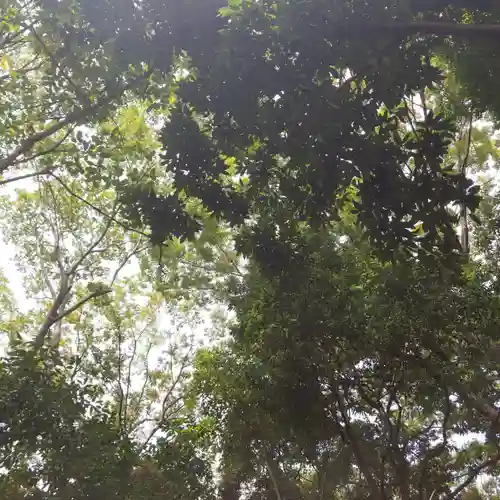 円山随身稲荷大明神の自然