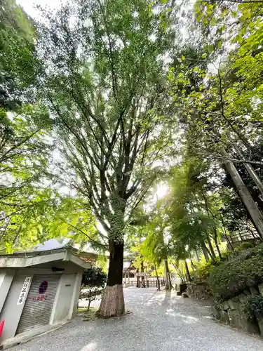 播州清水寺(兵庫県)