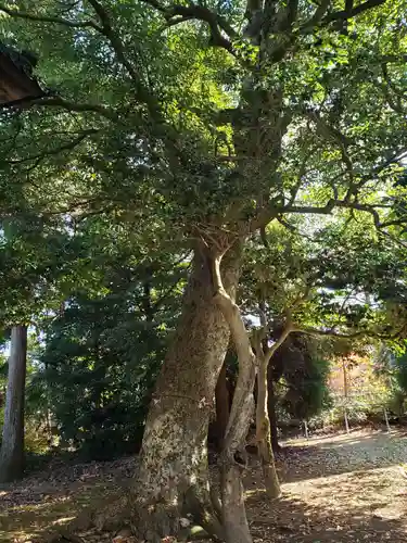 手向神社の庭園