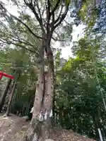 吉備津神社(広島県)