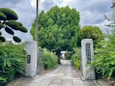 宗林寺(東京都)