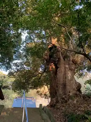 御霊神社(千葉県)