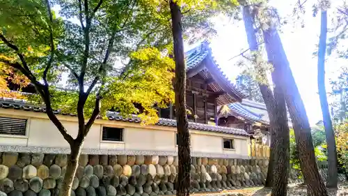 八劔社(桂八劔社)の本殿・本堂