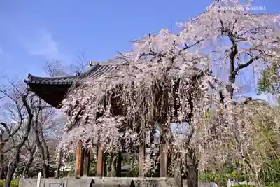 増上寺のその他建物