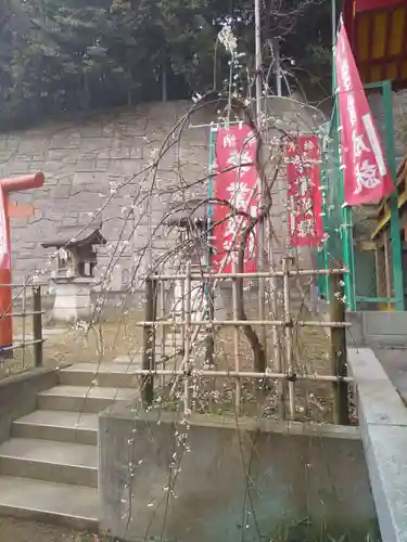 若宮八幡宮の自然