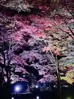 土津神社|こどもと出世の神さま(福島県)