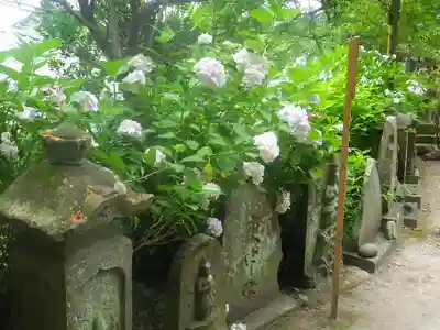 御霊神社のその他建物