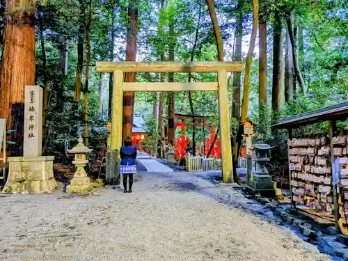 椿大神社の鳥居