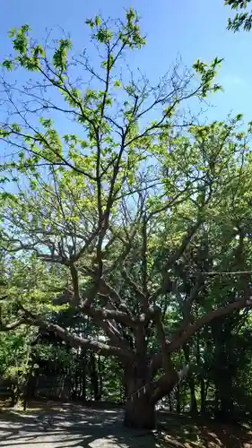 相馬神社(北海道)
