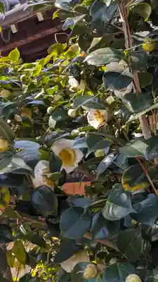 浄安寺(京都府)