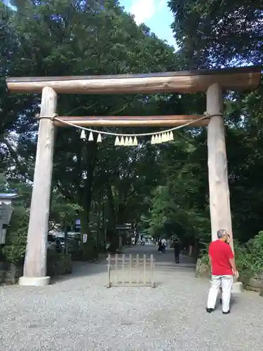 天岩戸神社の鳥居